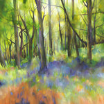Woodlands and Sunbeams Limited Edition Giclée Print