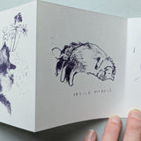 Book of Cecile (hand printed book)