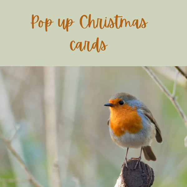 Art Club Session 13th December