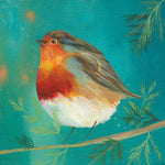 Robin on Turquoise Greetings Card