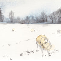 Texel Sheep Greetings Card