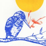 Kingfisher and Sunshine Screen Print