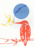 Kingfisher and Yellow Branch Screen Print