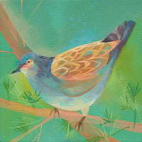 Turtle Dove  Ltd Edition Giclée Print